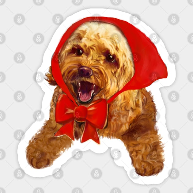 Cavoodle red best sale